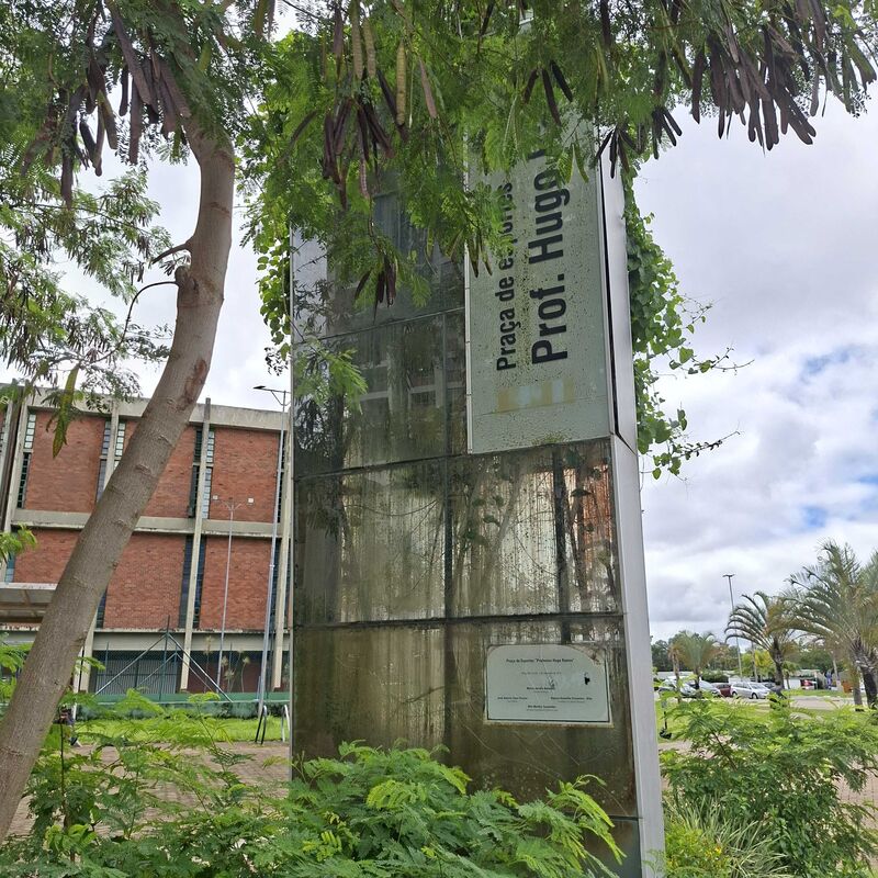 Imagem da publicação