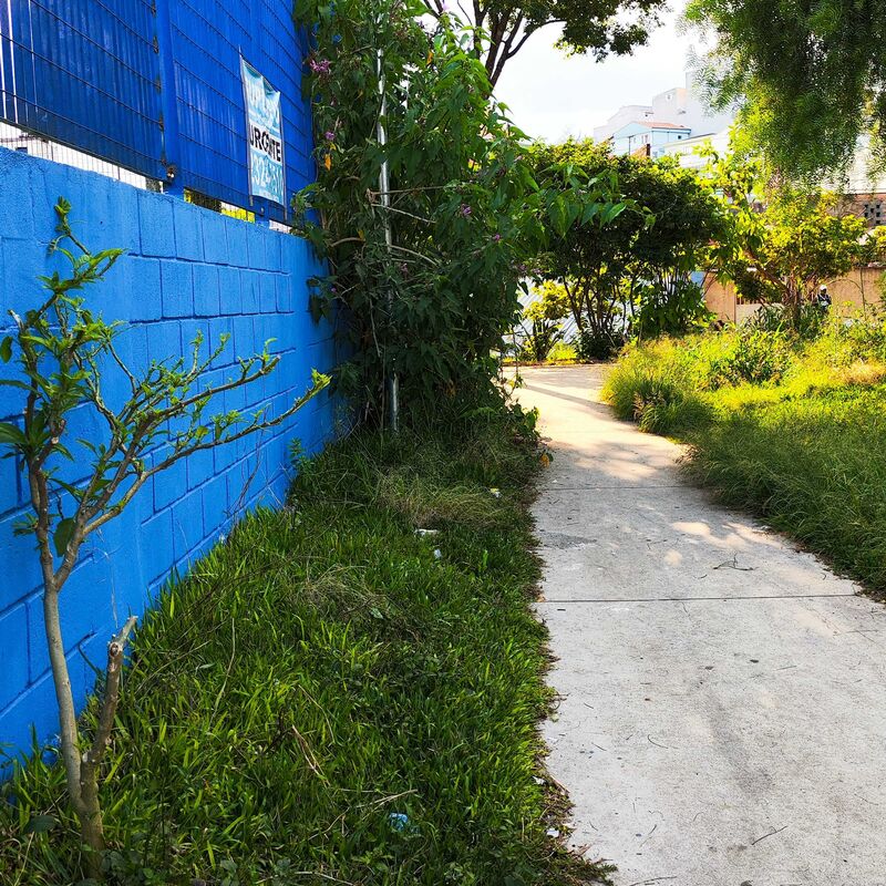 Imagem da publicação