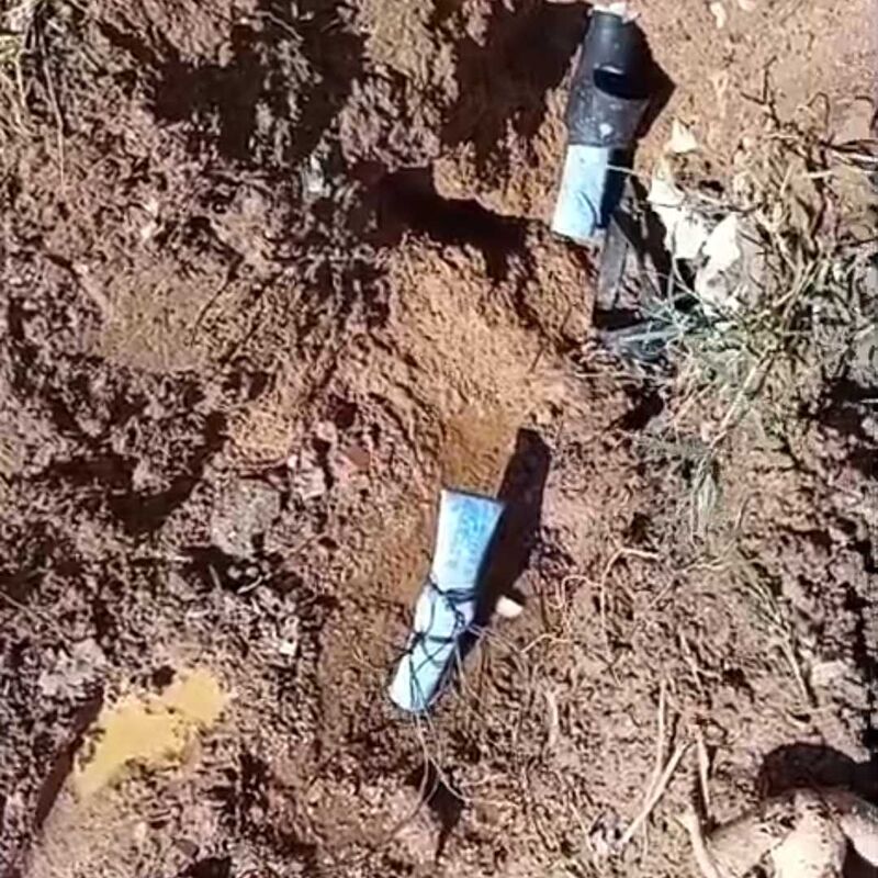 Imagem da publicação