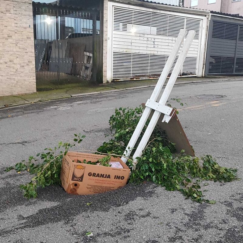 Imagem da publicação