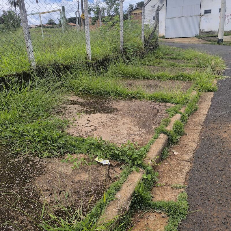 Imagem da publicação