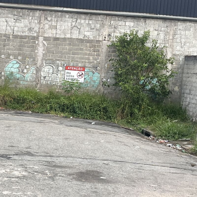 Imagem da publicação