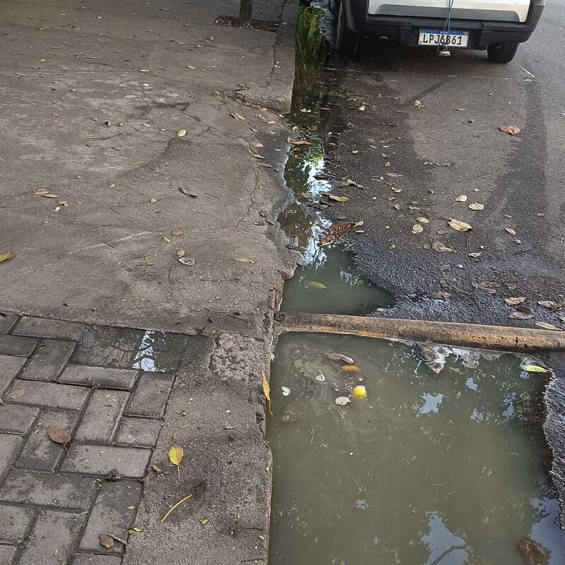 Imagem da publicação