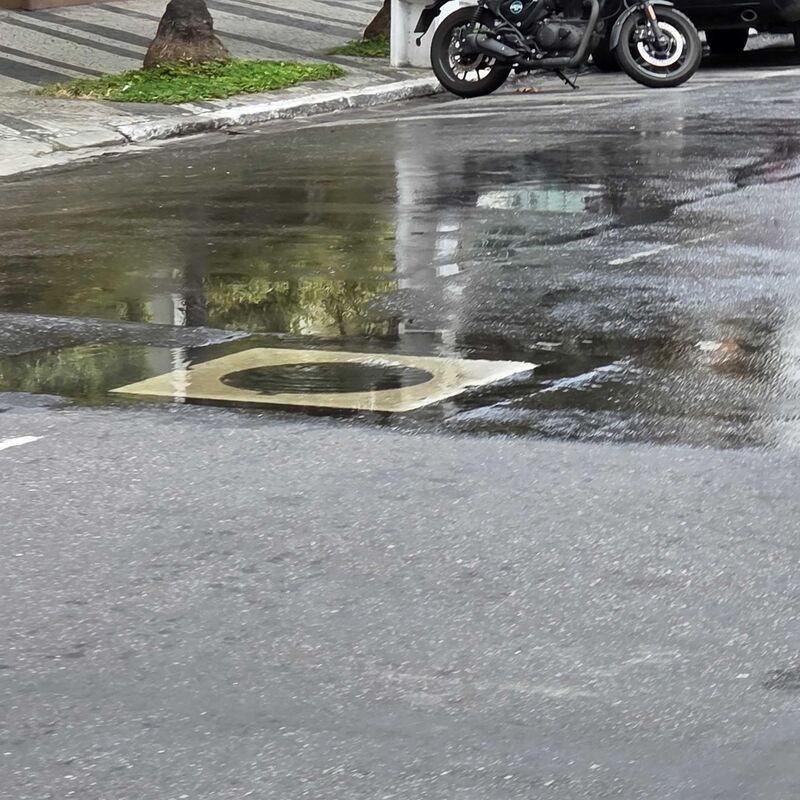 Imagem da publicação
