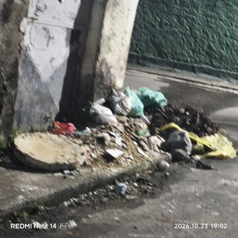 Imagem da publicação