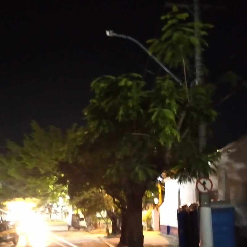 Imagem da publicação