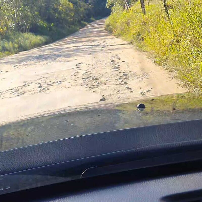 Imagem da publicação