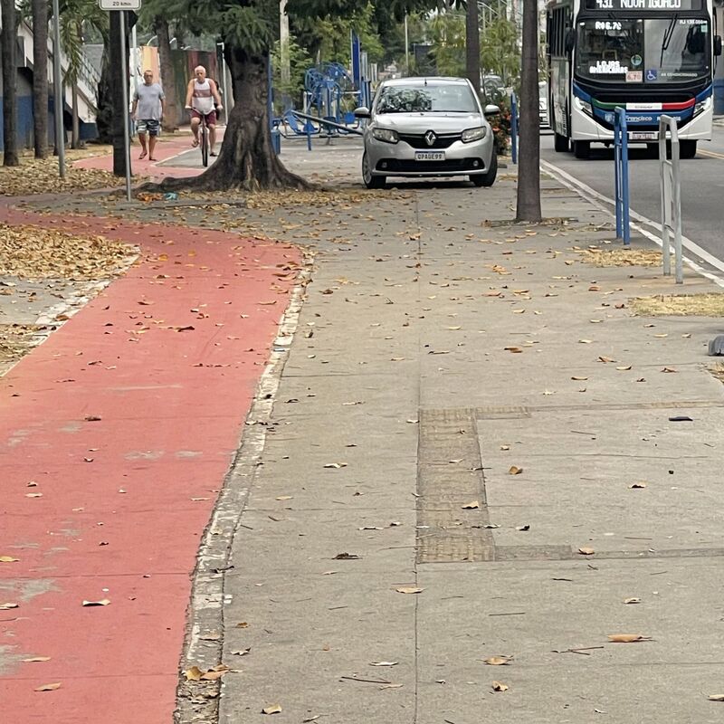 Imagem da publicação