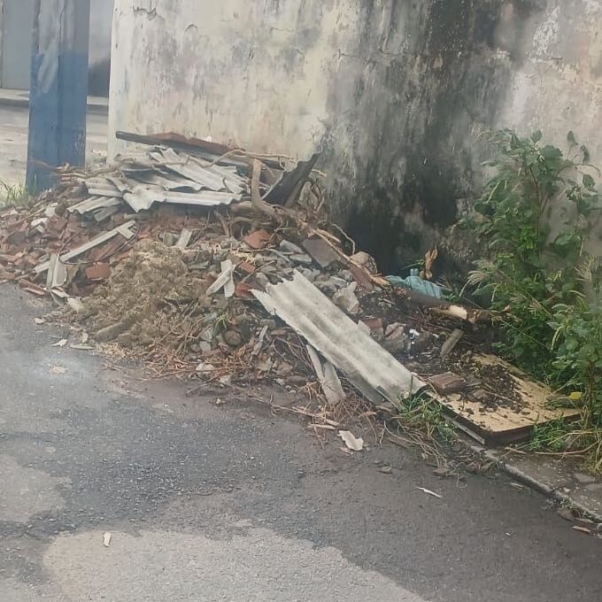 Imagem da publicação