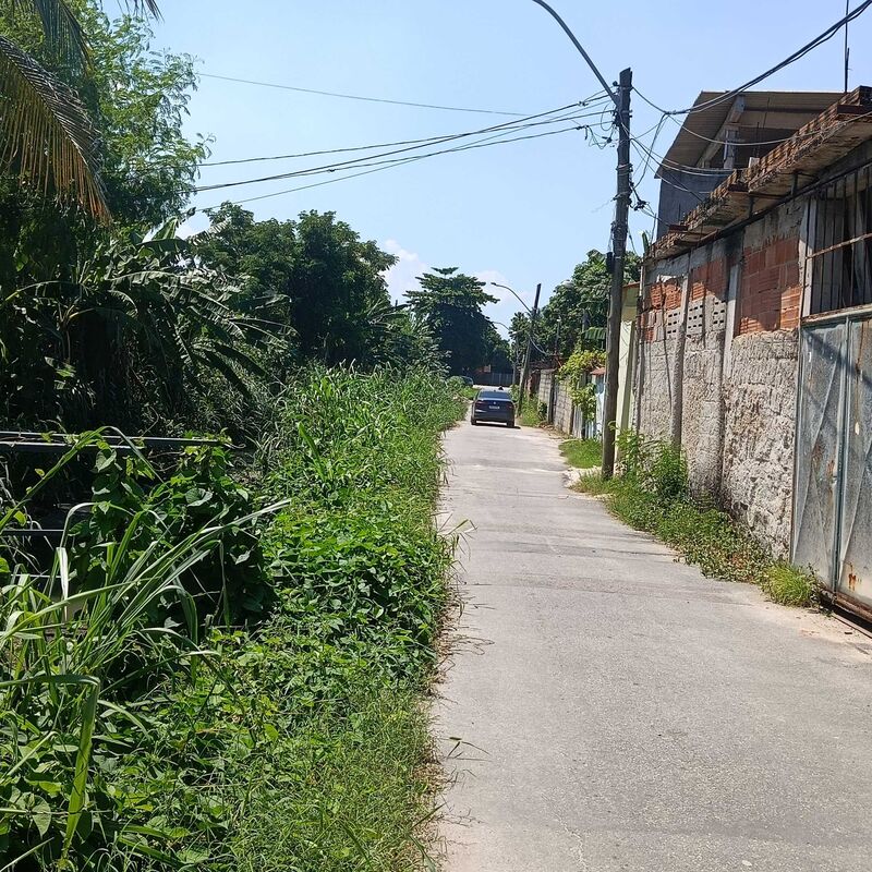 Imagem da publicação