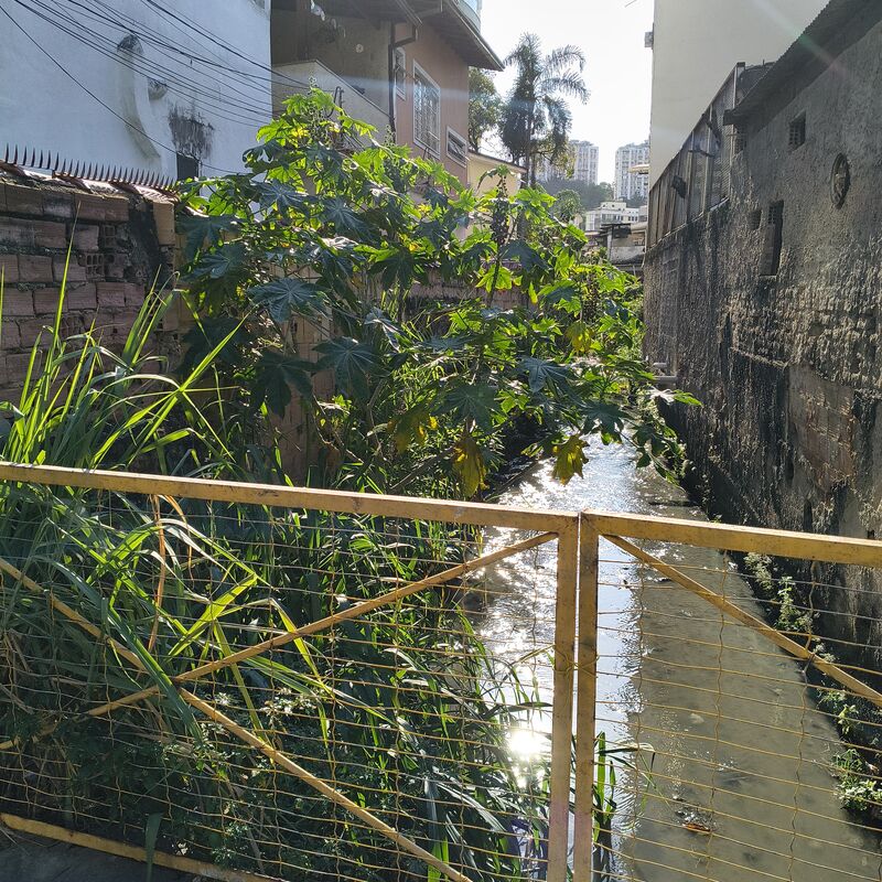 Imagem da publicação