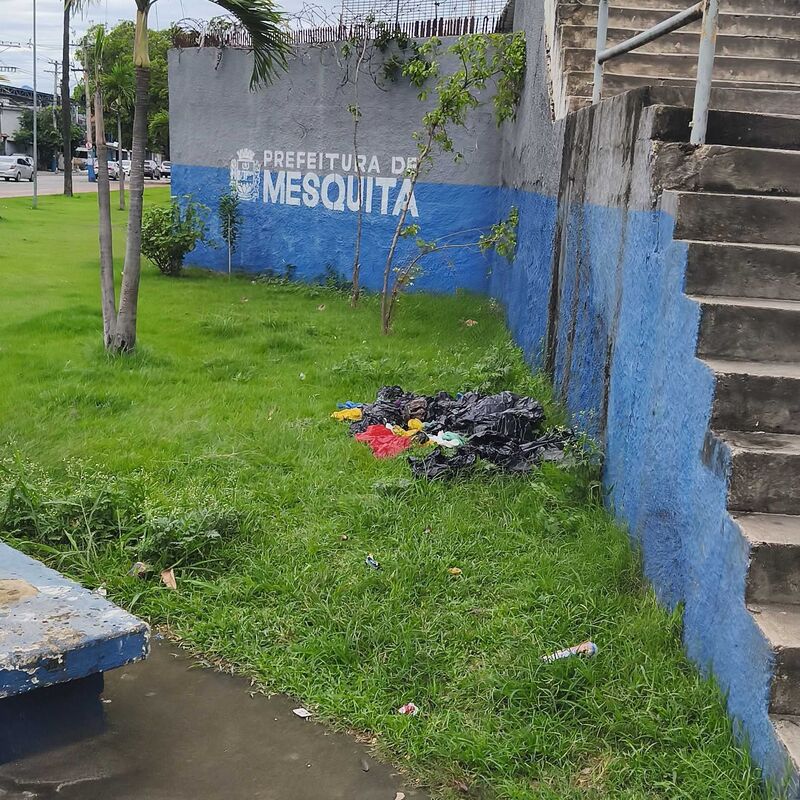 Imagem da publicação