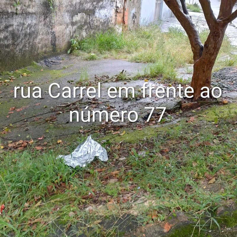 Imagem da publicação