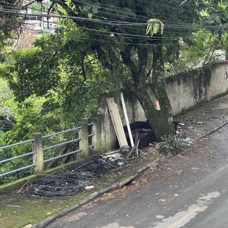 Imagem da publicação