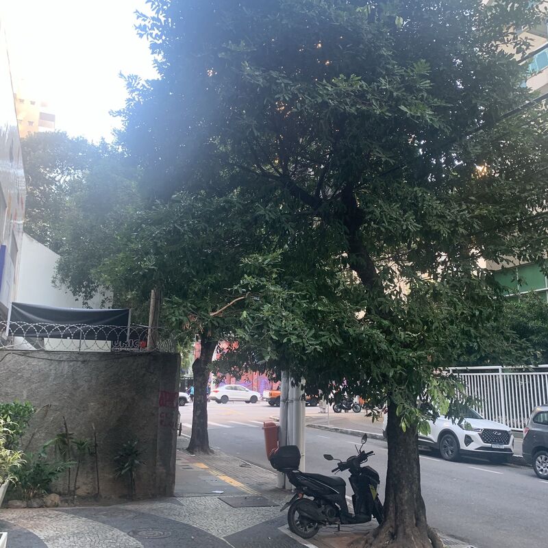 Imagem da publicação