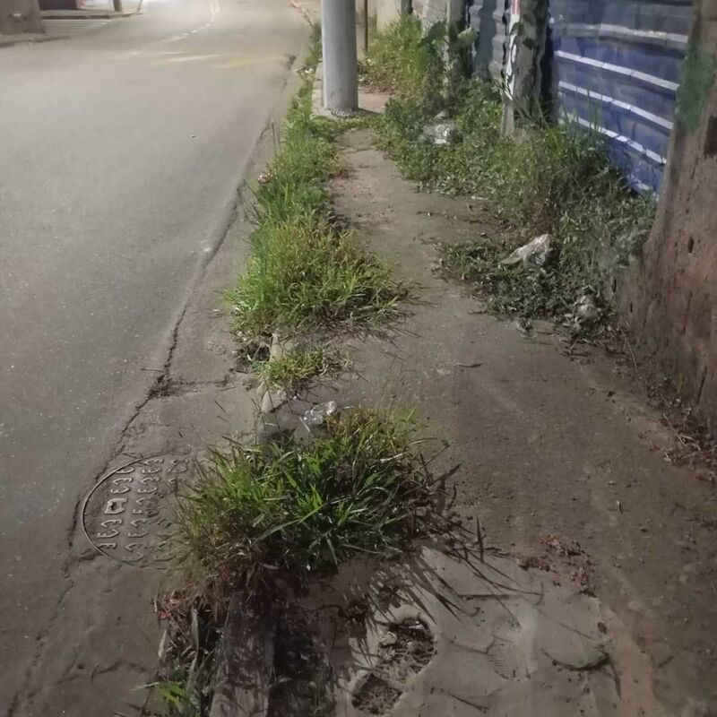 Imagem da publicação