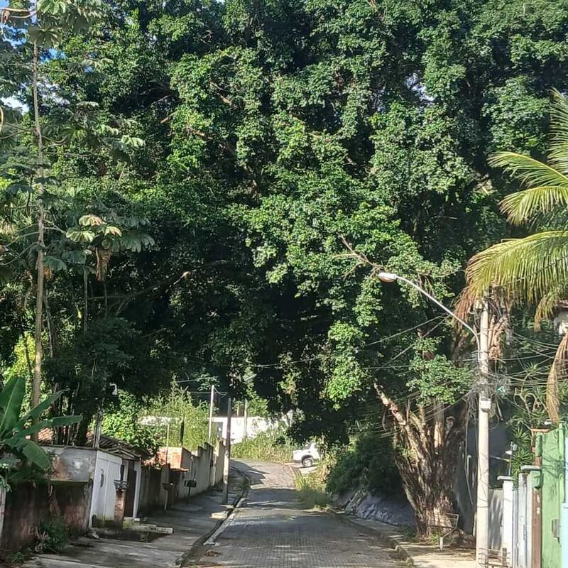 Imagem da publicação