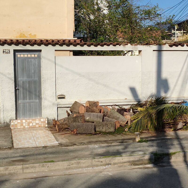 Imagem da publicação