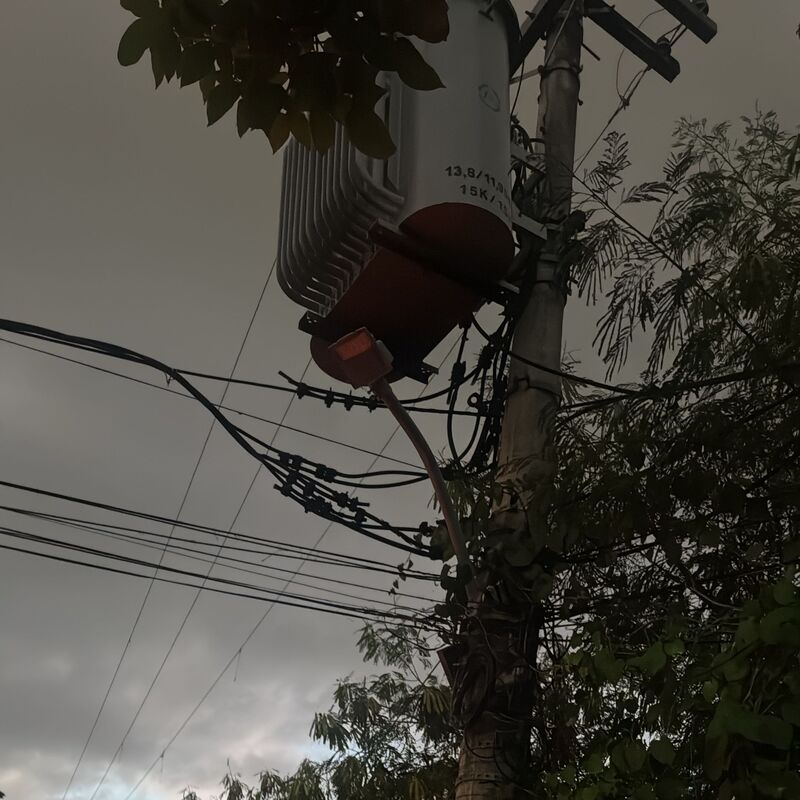 Imagem da publicação