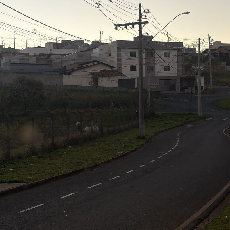 Imagem da publicação