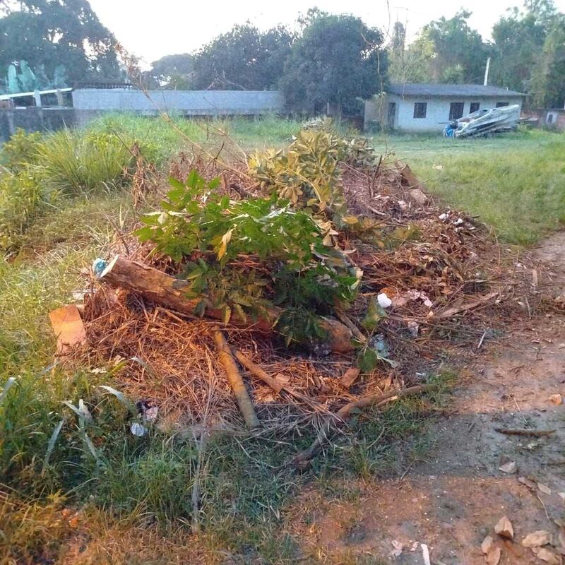 Imagem da publicação