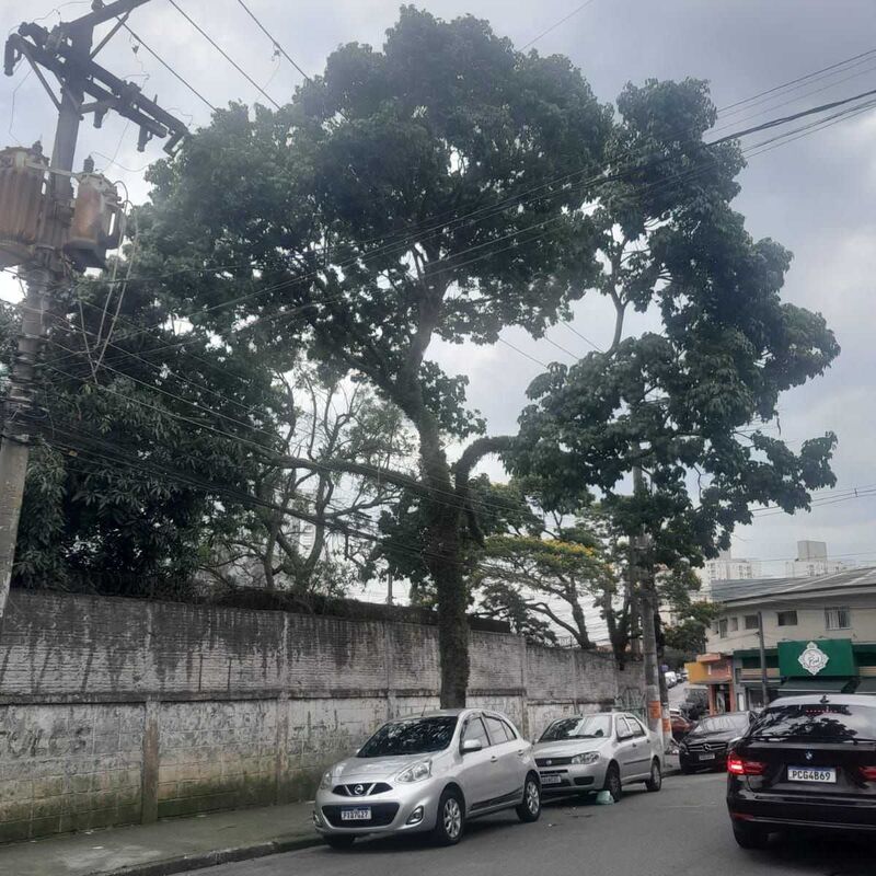 Imagem da publicação