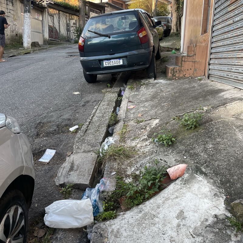 Imagem da publicação