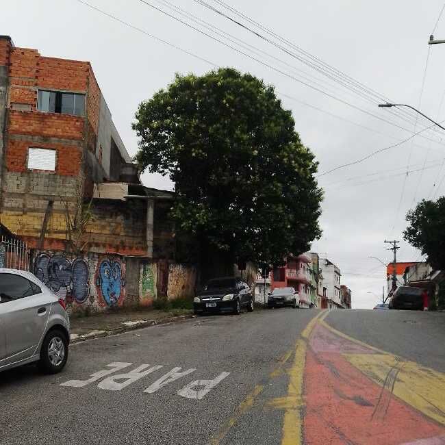 Imagem da publicação