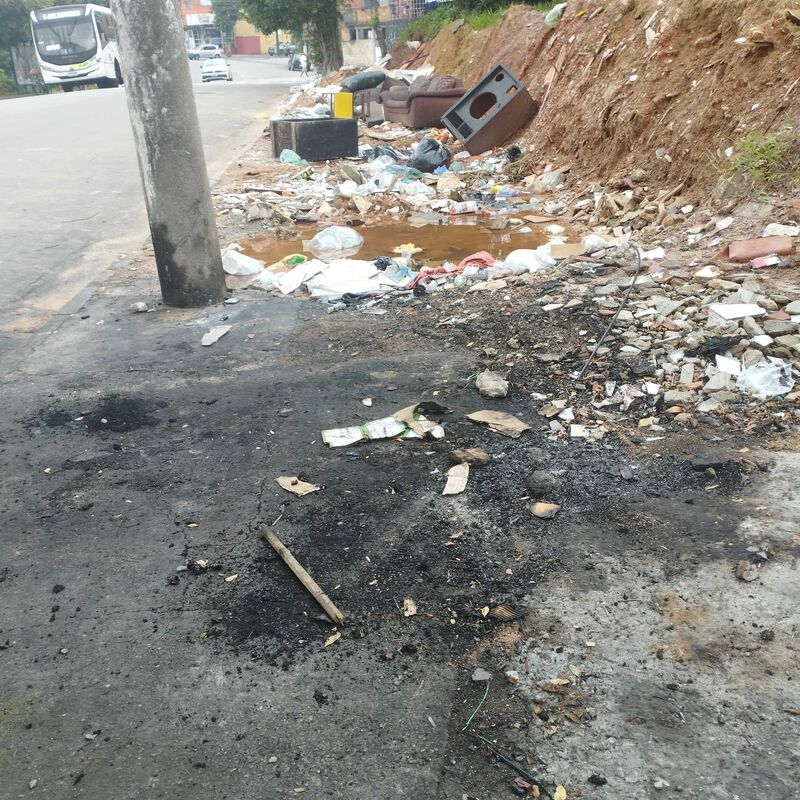 Imagem da publicação