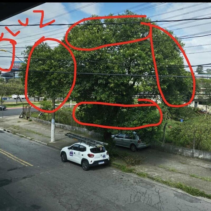 Imagem da publicação