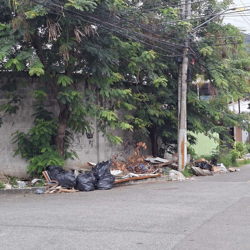 Imagem da publicação