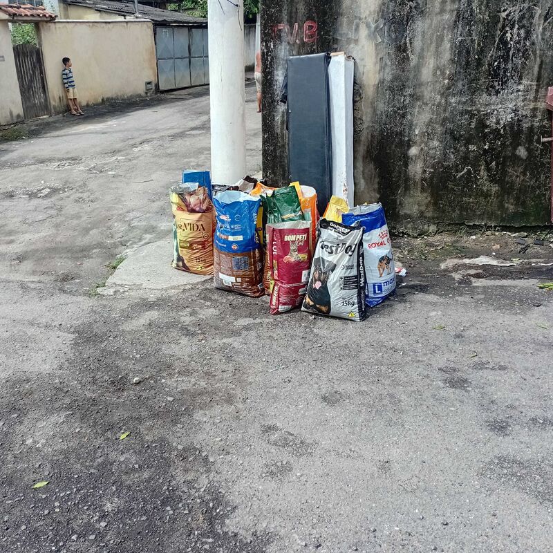 Imagem da publicação