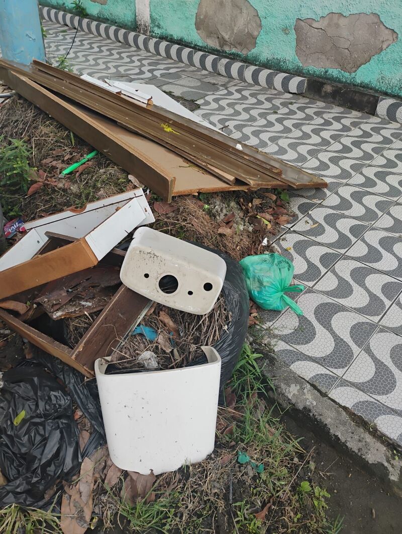 Imagem da publicação