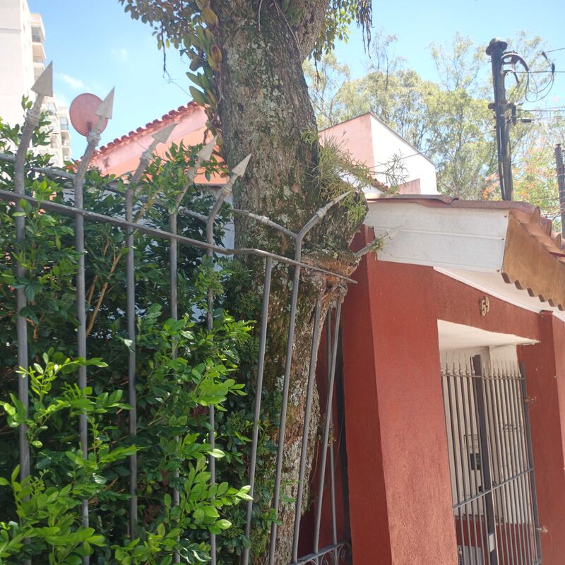 Imagem da publicação