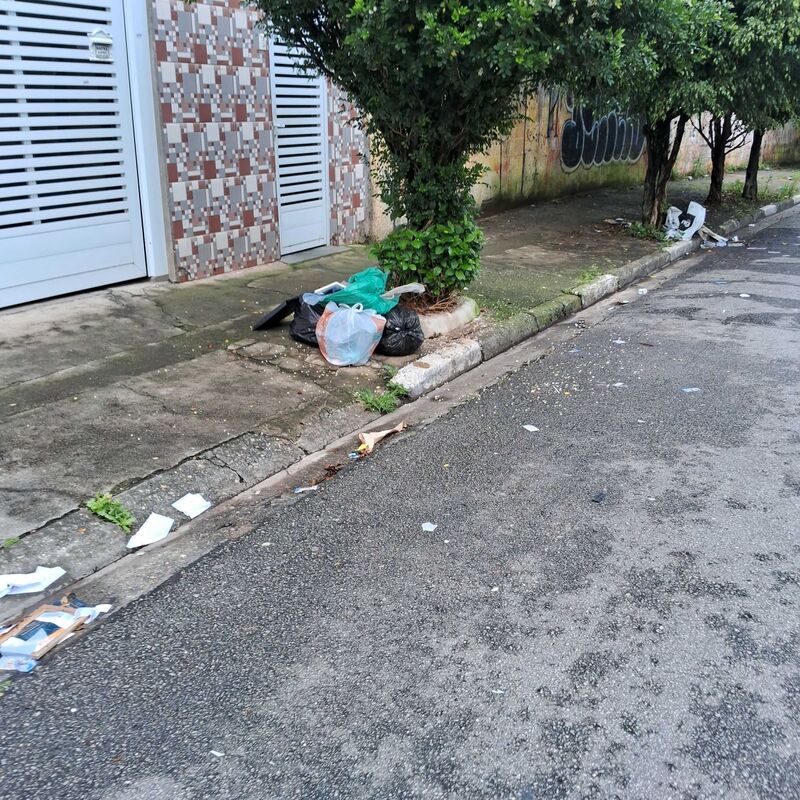 Imagem da publicação