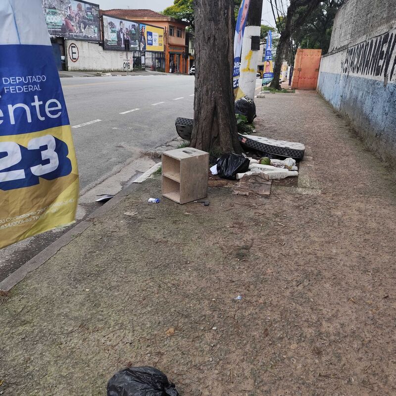 Imagem da publicação