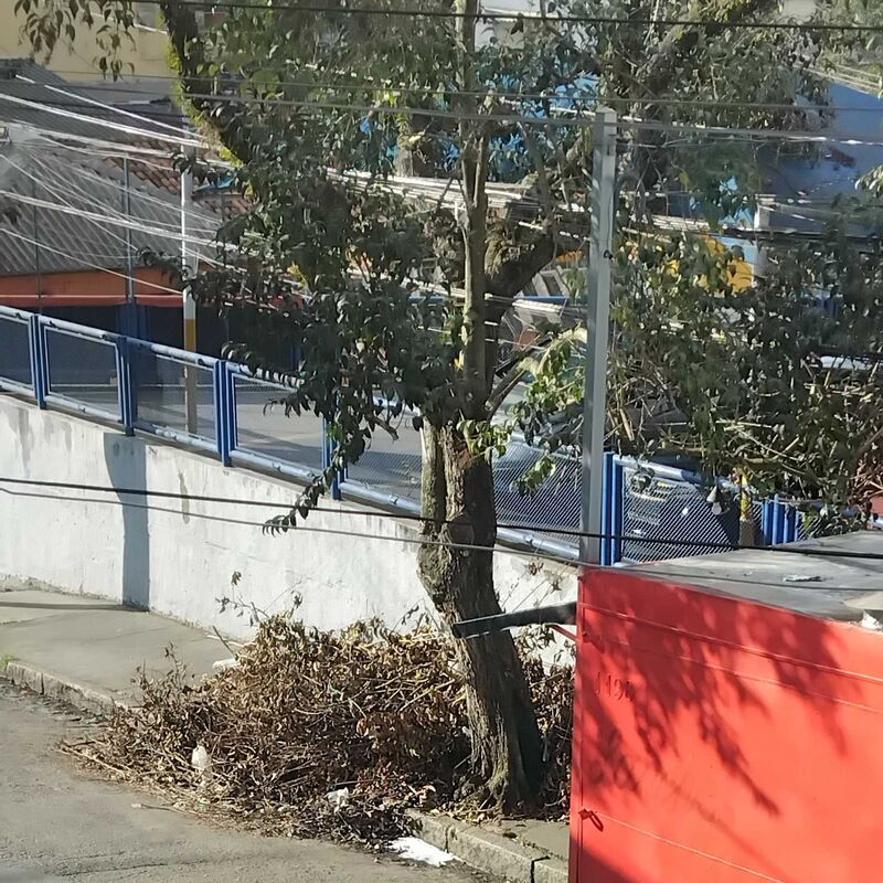 Imagem da publicação