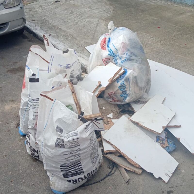 Imagem da publicação