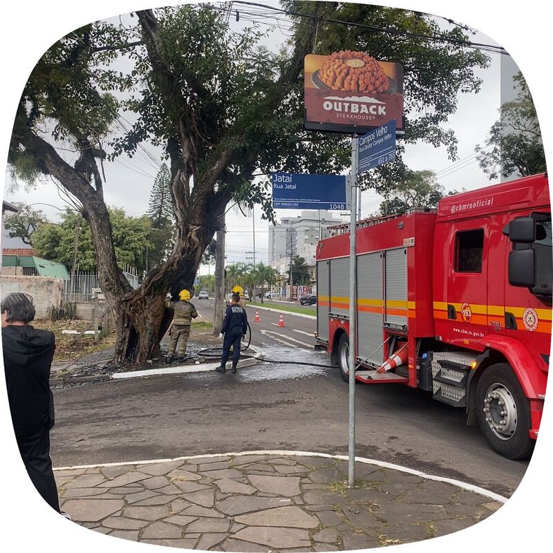 Imagem da publicação
