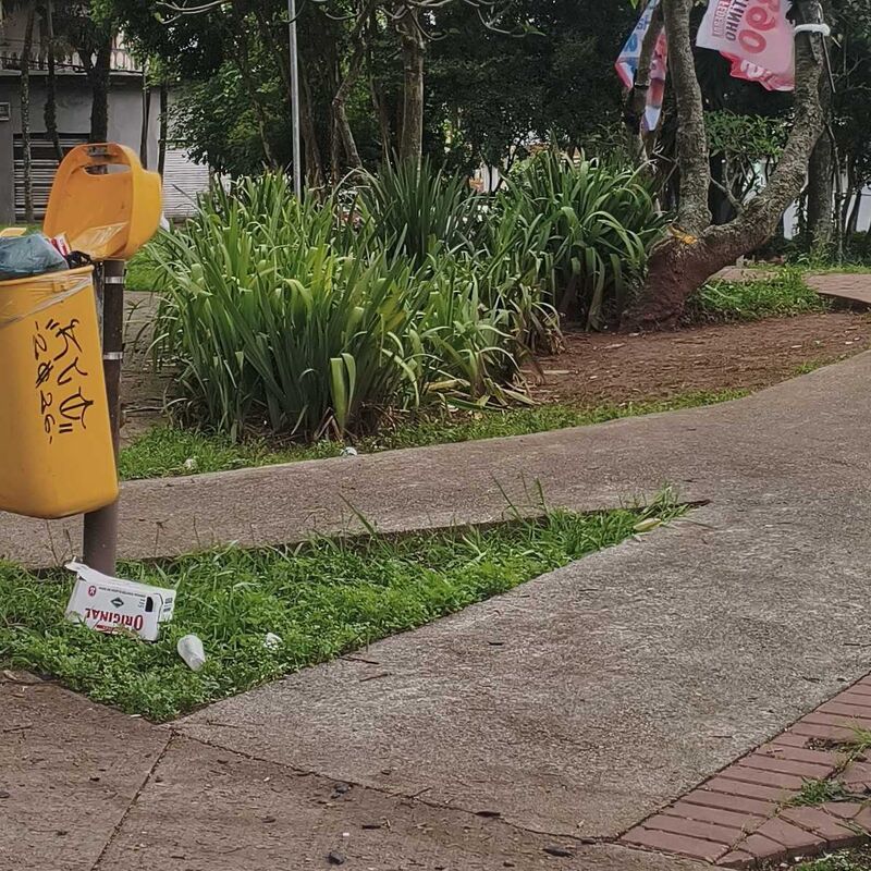 Imagem da publicação