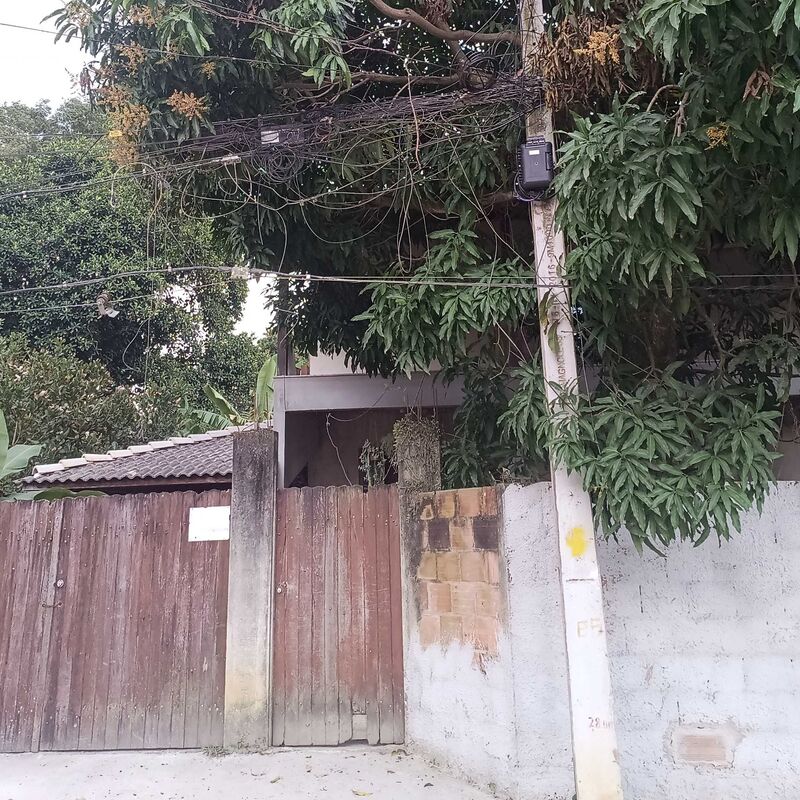 Imagem da publicação