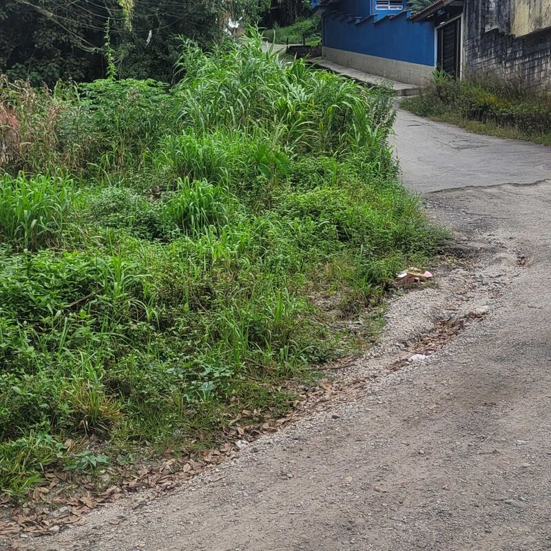 Imagem da publicação