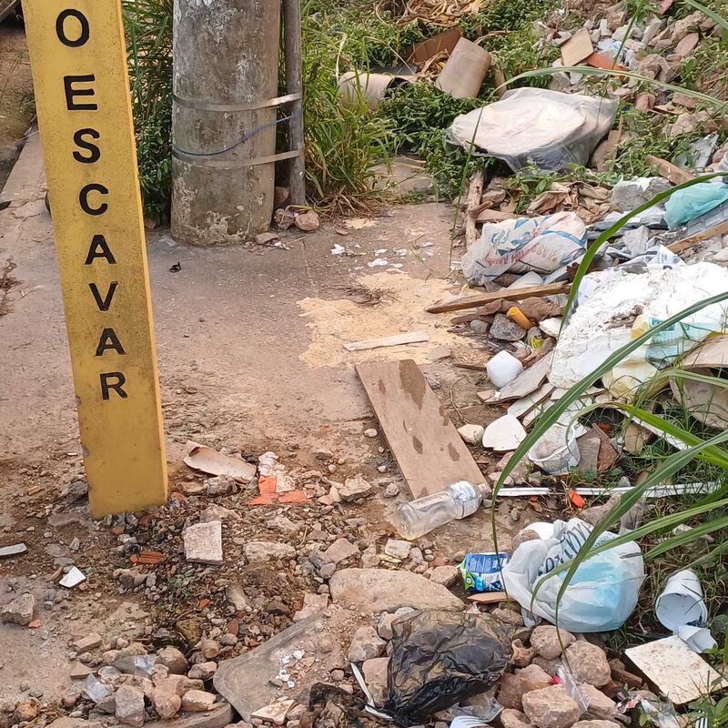 Imagem da publicação