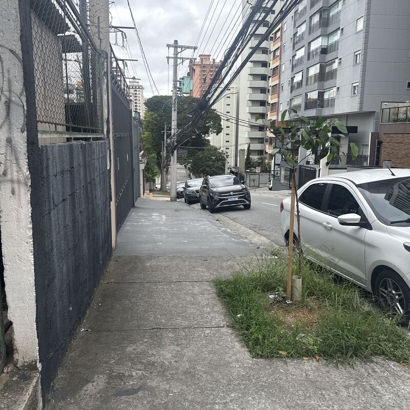Imagem da publicação