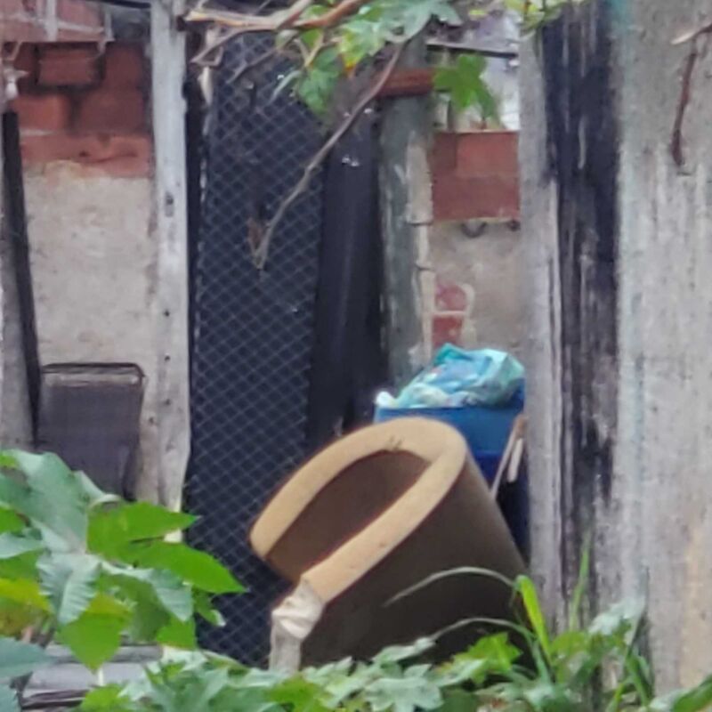 Imagem da publicação