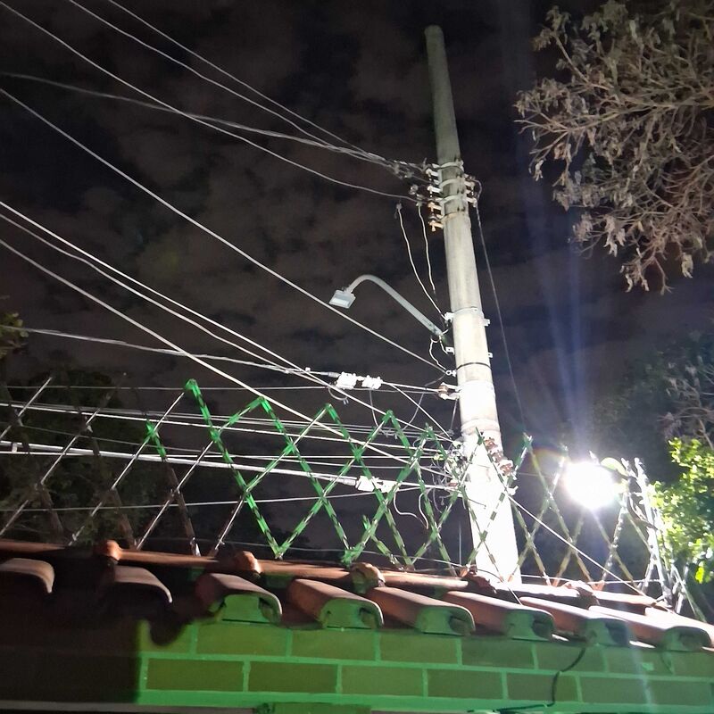 Imagem da publicação
