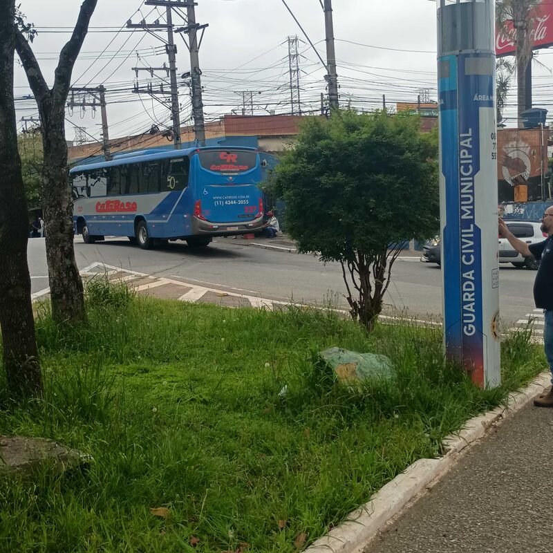 Imagem da publicação