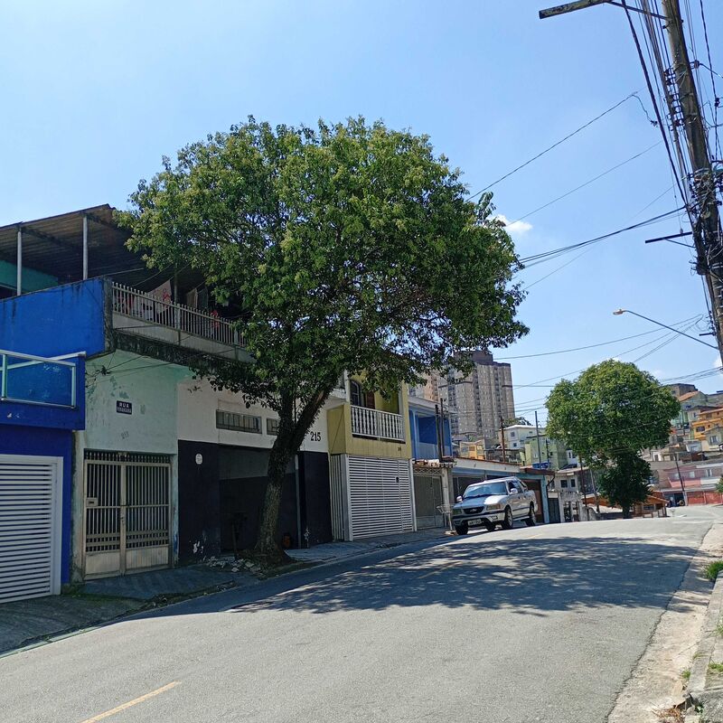 Imagem da publicação