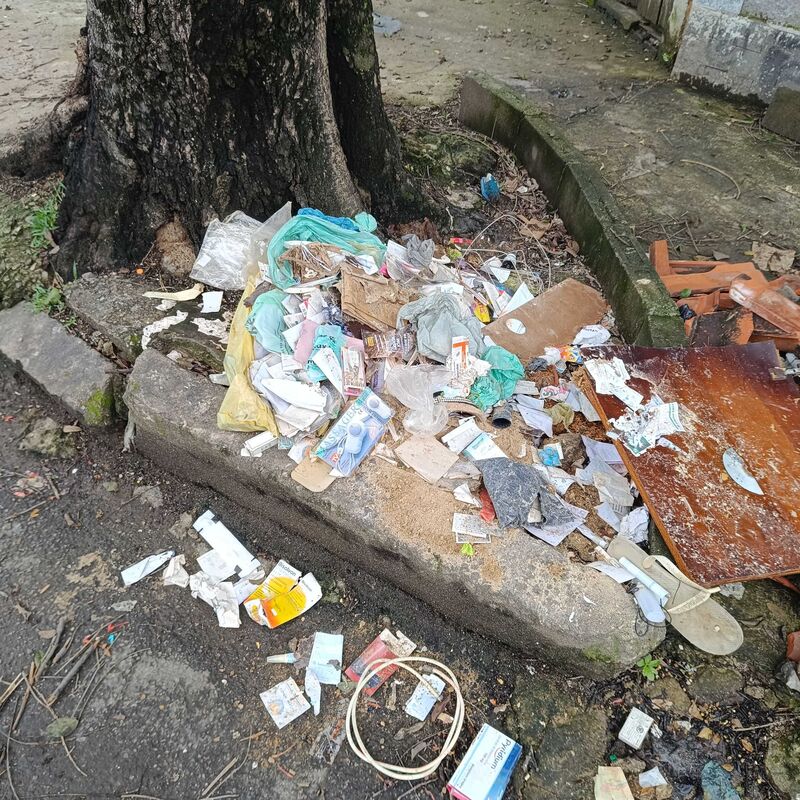 Imagem da publicação