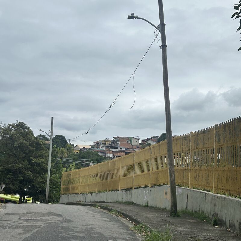 Imagem da publicação